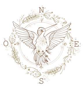 logo colibri brun